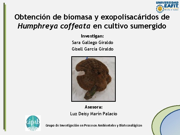 Obtención de biomasa y exopolisacáridos de Humphreya coffeata en cultivo sumergido Investigan: Sara Gallego