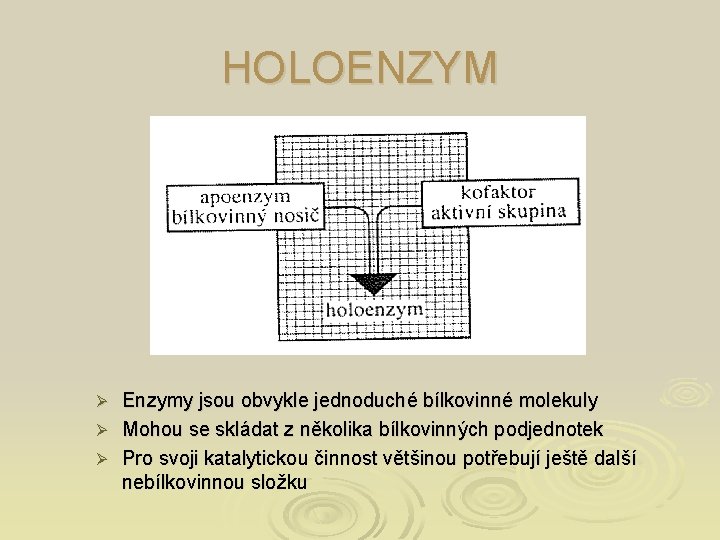 HOLOENZYM Enzymy jsou obvykle jednoduché bílkovinné molekuly Ø Mohou se skládat z několika bílkovinných