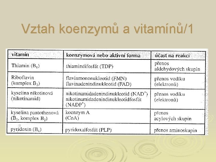 Vztah koenzymů a vitamínů/1 