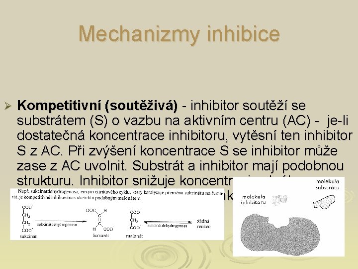 Mechanizmy inhibice Ø Kompetitivní (soutěživá) - inhibitor soutěží se substrátem (S) o vazbu na