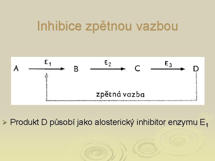 Inhibice zpětnou vazbou Ø Produkt D působí jako alosterický inhibitor enzymu E 1 