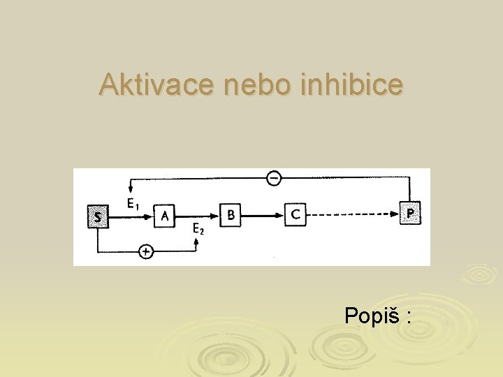 Aktivace nebo inhibice Popiš : 