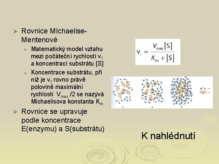 Ø Rovnice MIchaelise. Mentenové l l Ø Matematický model vztahu mezi počáteční rychlostí v