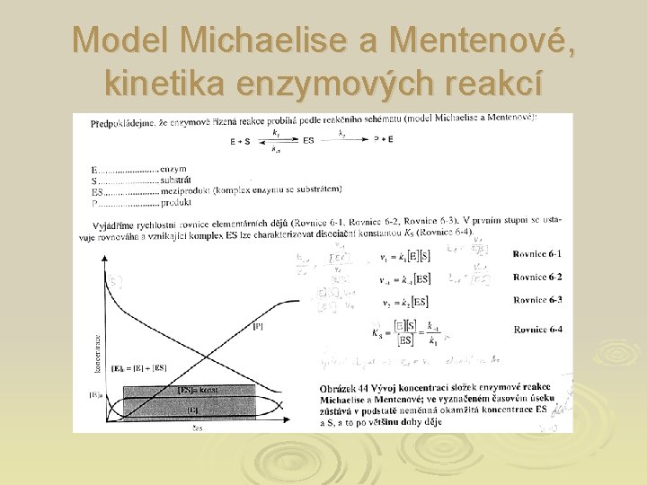 Model Michaelise a Mentenové, kinetika enzymových reakcí 