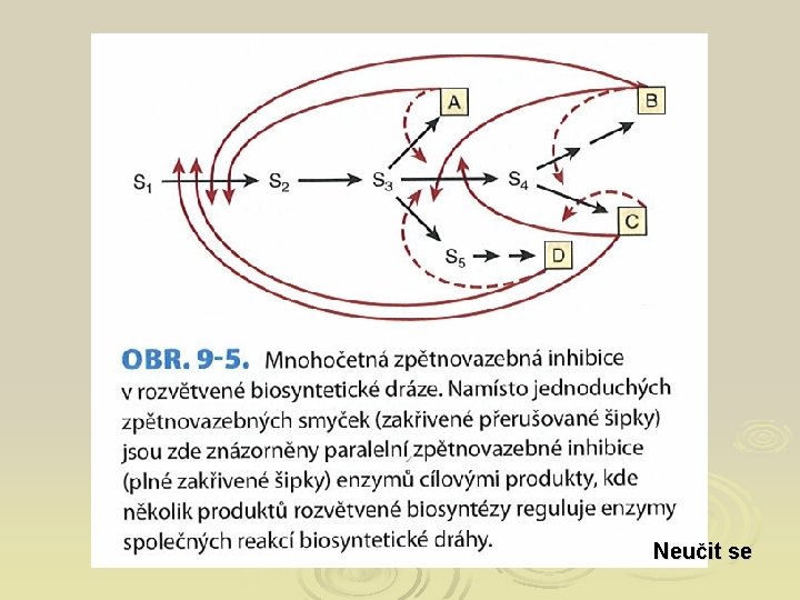 Neučit se 