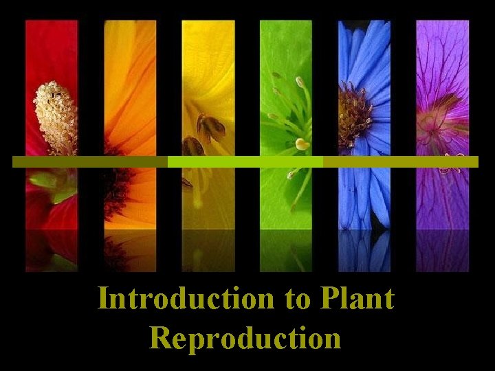 Introduction to Plant Reproduction 