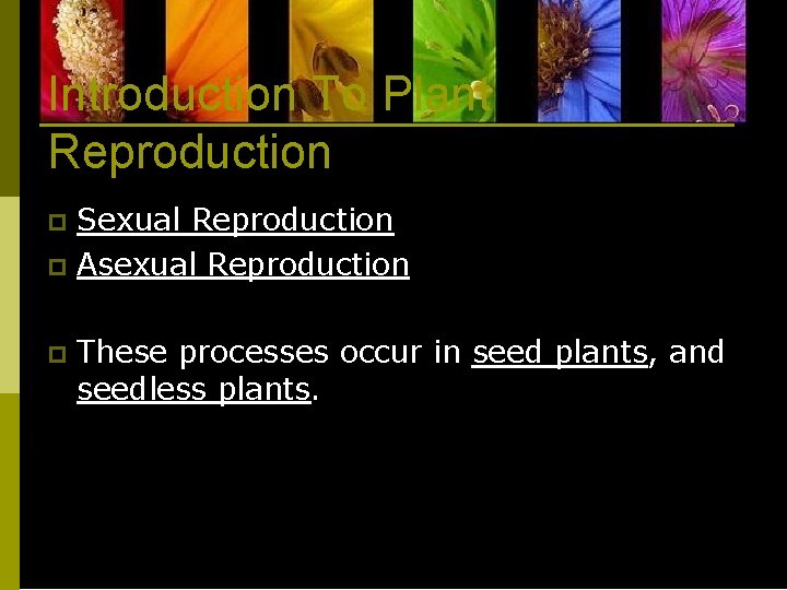 Introduction To Plant Reproduction Sexual Reproduction p Asexual Reproduction p p These processes occur