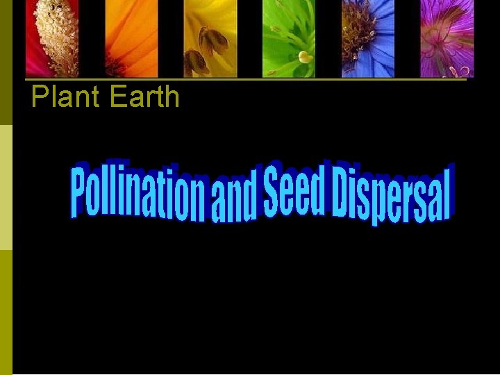 Plant Earth 