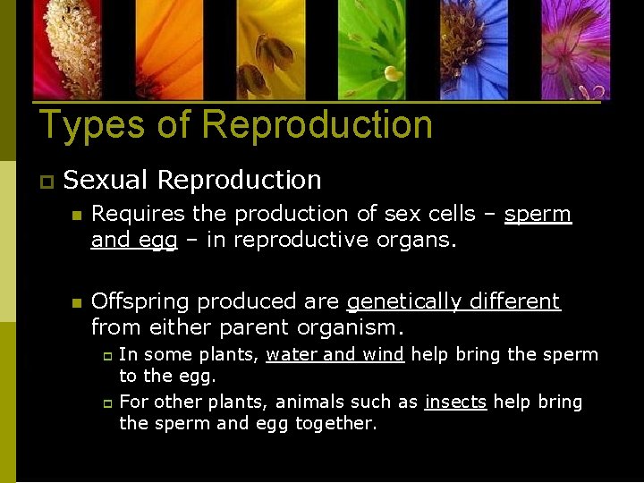 Types of Reproduction p Sexual Reproduction n Requires the production of sex cells –