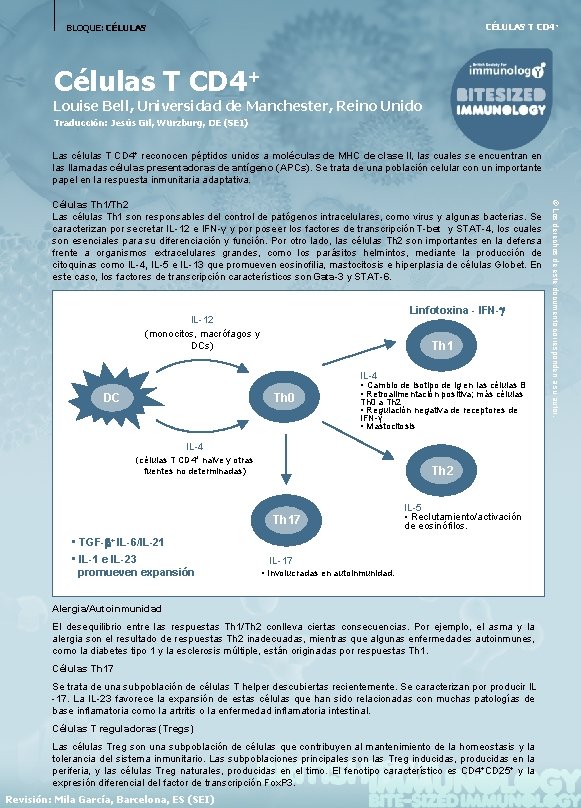 CÉLULAS T CD 4+ BLOQUE: CÉLULAS Células T CD 4+ Louise Bell, Universidad de