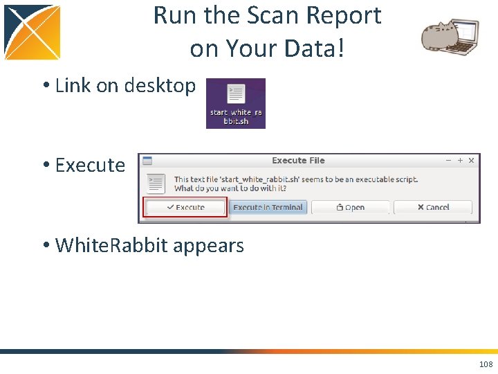 Run the Scan Report on Your Data! • Link on desktop • Execute •
