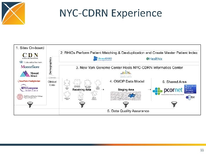 NYC-CDRN Experience 11 