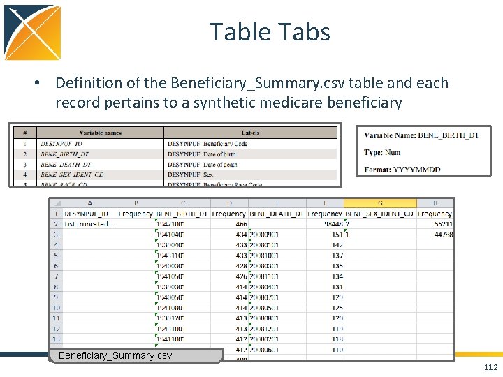 Table Tabs • Definition of the Beneficiary_Summary. csv table and each record pertains to