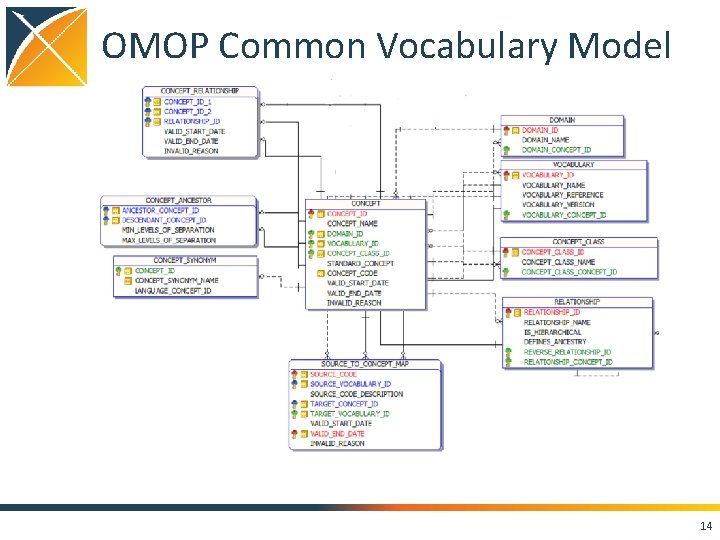 OMOP Common Vocabulary Model 14 