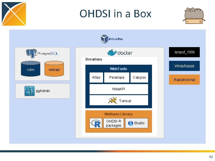 OHDSI in a Box synpuf_100 k Broadsea cdm Atlas pg. Admin White. Rabbit Web.