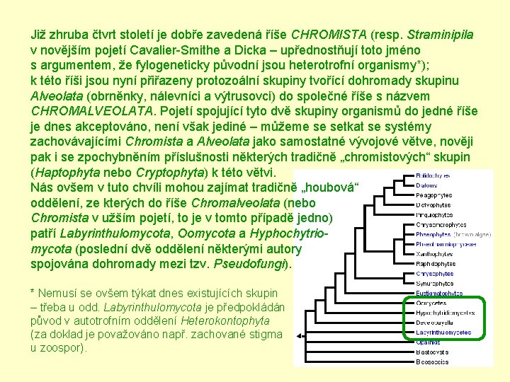 Již zhruba čtvrt století je dobře zavedená říše CHROMISTA (resp. Straminipila v novějším pojetí
