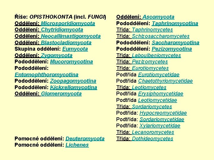 Říše: OPISTHOKONTA (incl. FUNGI) Oddělení: Microsporidiomycota Oddělení: Chytridiomycota Oddělení: Neocallimastigomycota Oddělení: Blastocladiomycota Skupina oddělení: