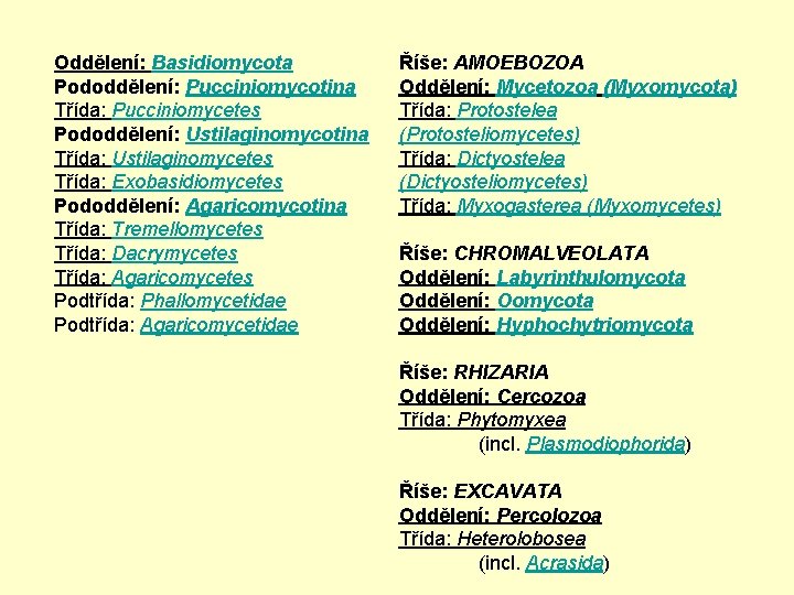Oddělení: Basidiomycota Pododdělení: Pucciniomycotina Třída: Pucciniomycetes Pododdělení: Ustilaginomycotina Třída: Ustilaginomycetes Třída: Exobasidiomycetes Pododdělení: Agaricomycotina