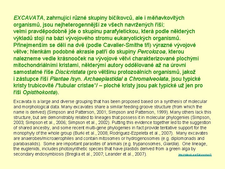 EXCAVATA, zahrnující různé skupiny bičíkovců, ale i měňavkovitých organismů, jsou nejheterogennější ze všech navržených