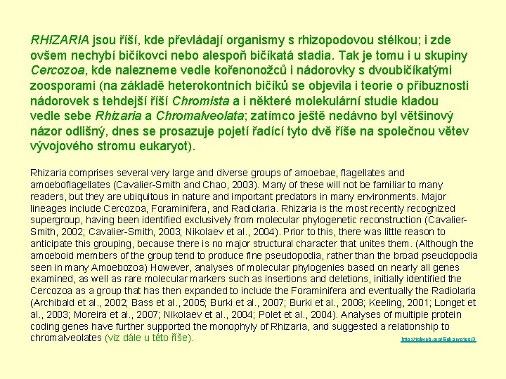 RHIZARIA jsou říší, kde převládají organismy s rhizopodovou stélkou; i zde ovšem nechybí bičíkovci