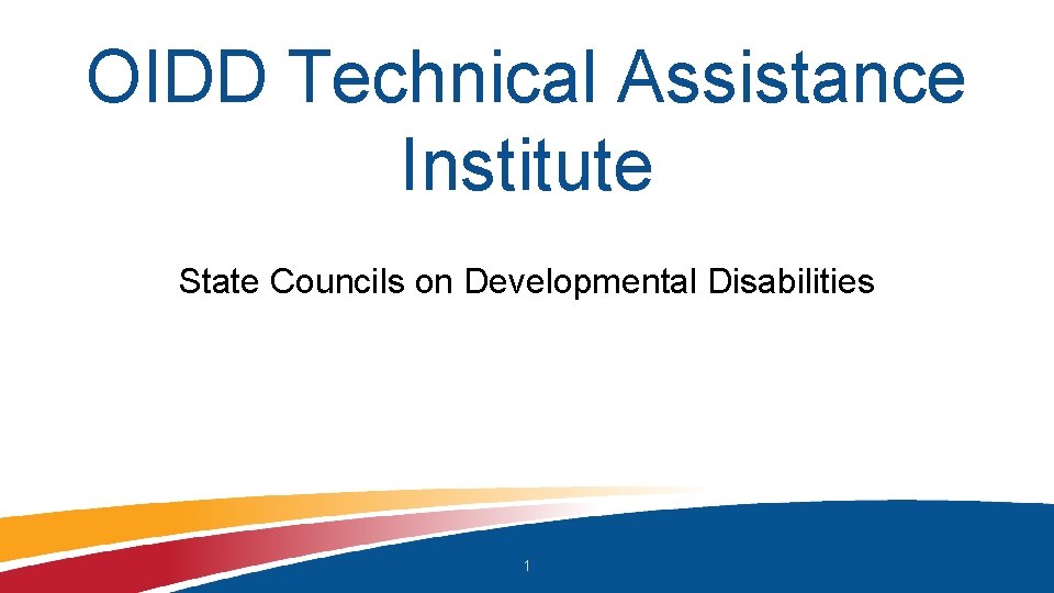 OIDD Technical Assistance Institute State Councils on Developmental Disabilities 1 