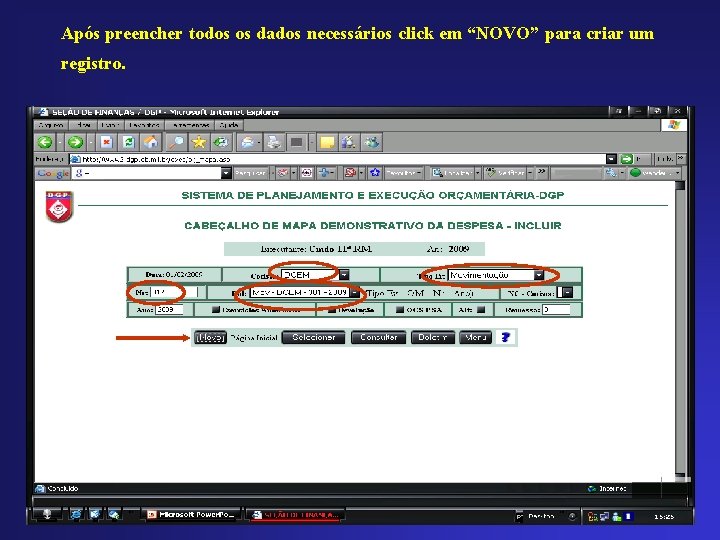 Após preencher todos os dados necessários click em “NOVO” para criar um registro. 