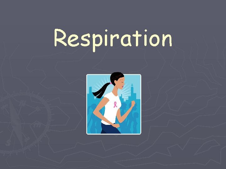 Respiration 