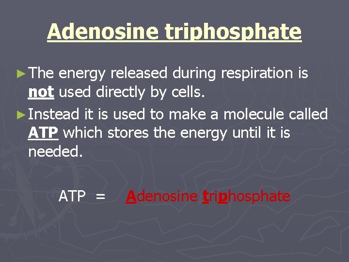 Adenosine triphosphate ► The energy released during respiration is not used directly by cells.