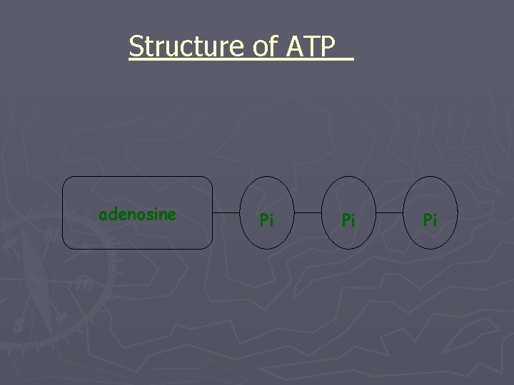 Structure of ATP adenosine Pi Pi Pi 