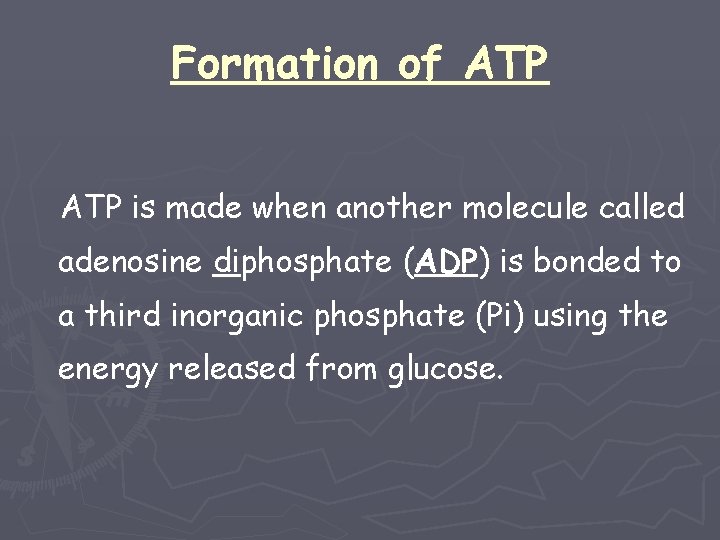 Formation of ATP is made when another molecule called adenosine diphosphate (ADP) is bonded