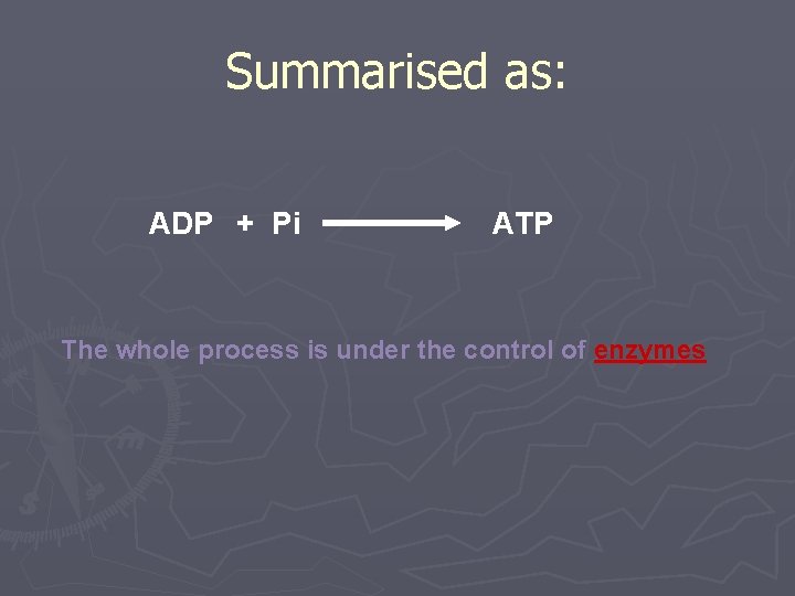 Summarised as: ADP + Pi ATP The whole process is under the control of