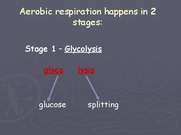 Aerobic respiration happens in 2 stages: Stage 1 – Glycolysis glyco glucose lysis splitting