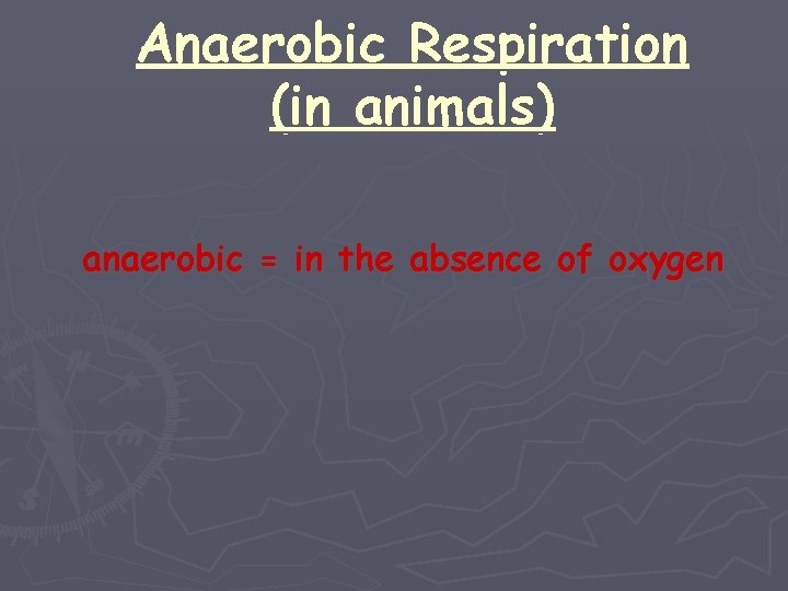 Anaerobic Respiration (in animals) anaerobic = in the absence of oxygen 