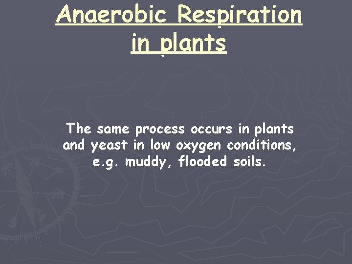 Anaerobic Respiration in plants The same process occurs in plants and yeast in low