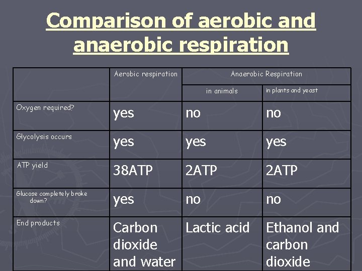 Comparison of aerobic and anaerobic respiration Anaerobic Respiration in animals in plants and yeast