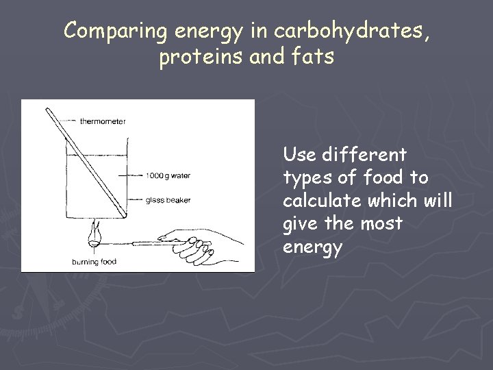Comparing energy in carbohydrates, proteins and fats Use different types of food to calculate