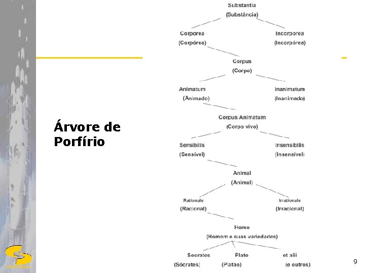 Árvore de Porfírio 9 DSC/CCT/UFCG 