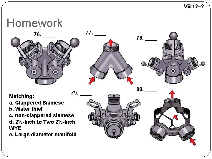 VS 12– 2 Homework 77. ____ 76. ____ 79. ____ Matching: a. Clappered Siamese VS 12– 2 Homework 77. ____ 76. ____ 79. ____ Matching: a. Clappered Siamese