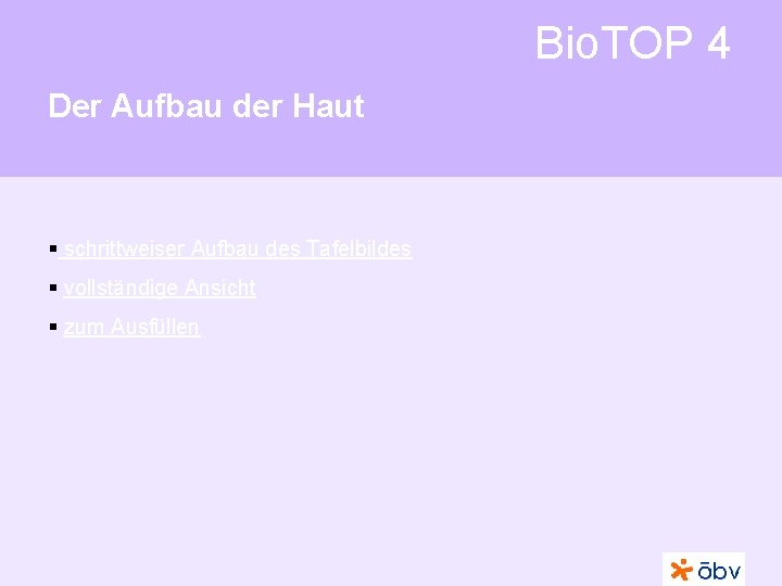 Bio. TOP 4 Der Aufbau der Haut § schrittweiser Aufbau des Tafelbildes § vollständige