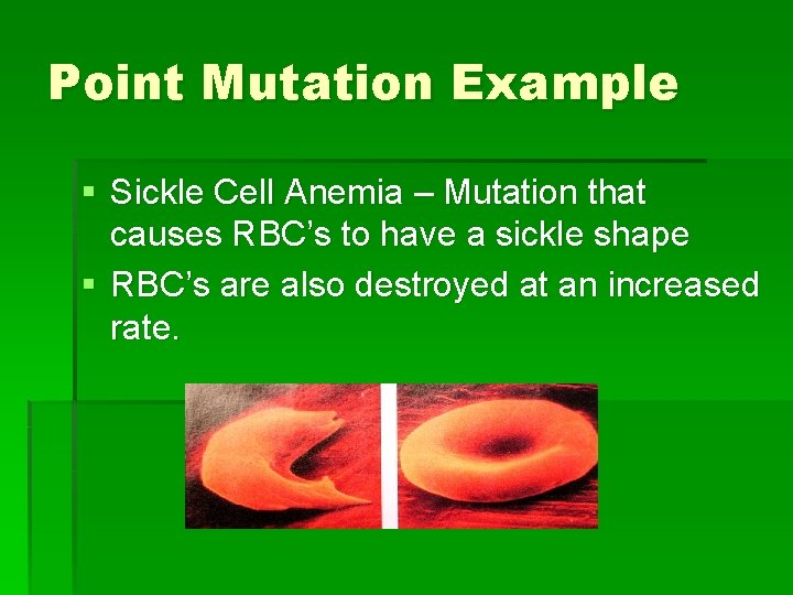 Point Mutation Example § Sickle Cell Anemia – Mutation that causes RBC’s to have