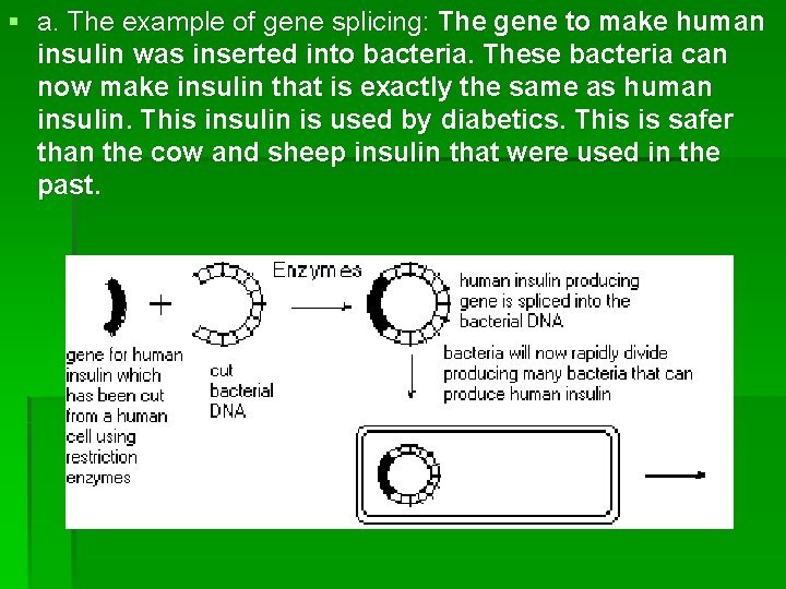 § a. The example of gene splicing: The gene to make human insulin was