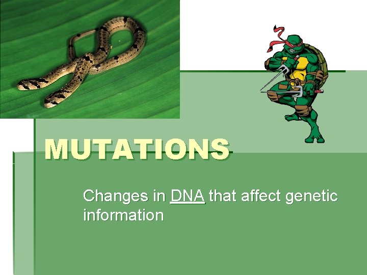 MUTATIONS Changes in DNA that affect genetic information 