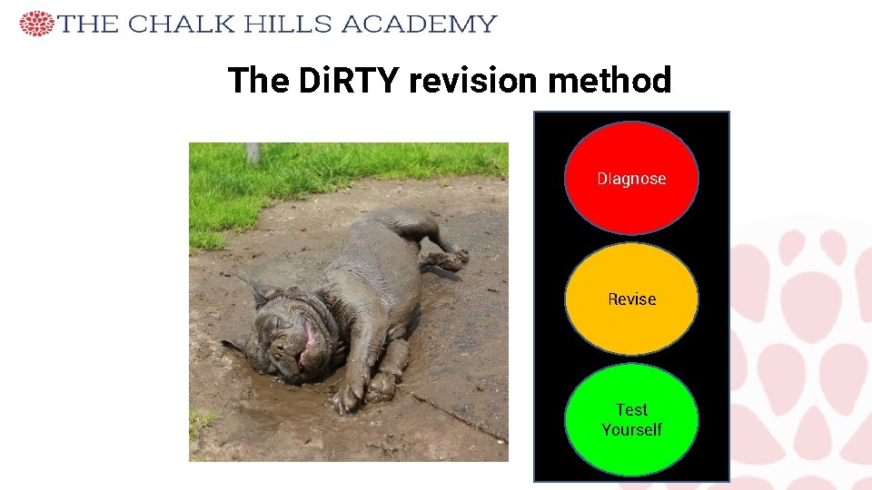 The Di. RTY revision method DIagnose Revise Test Yourself 