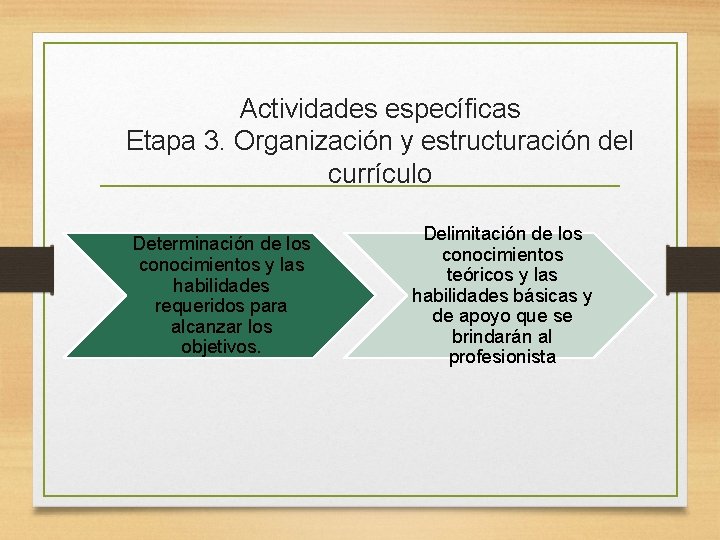 Actividades específicas Etapa 3. Organización y estructuración del currículo Determinación de los conocimientos y