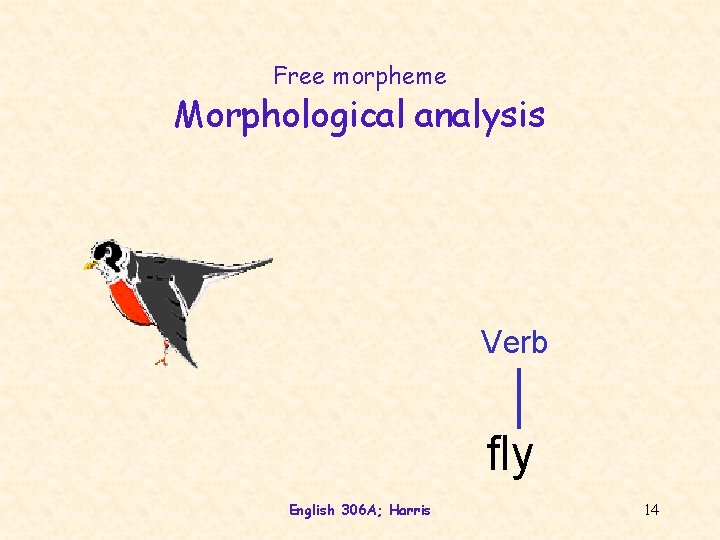 Free morpheme Morphological analysis Verb fly English 306 A; Harris 14 