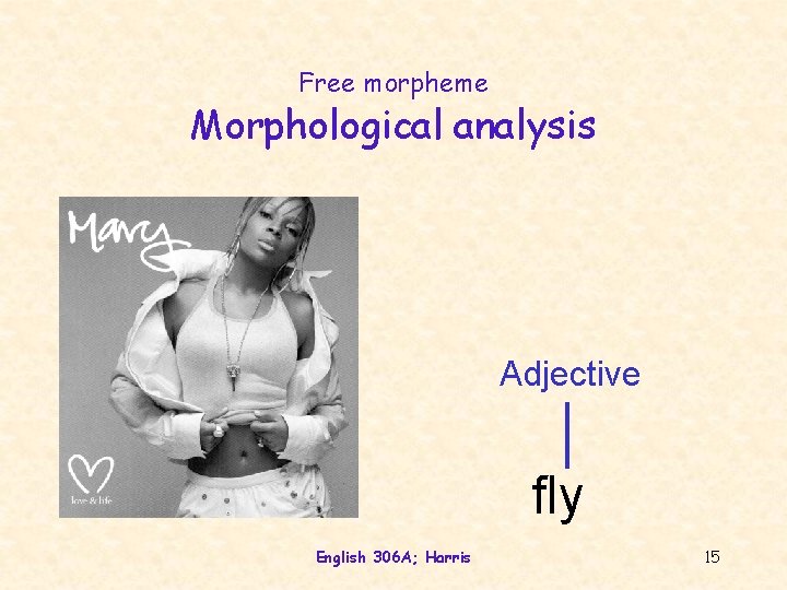 Free morpheme Morphological analysis Adjective fly English 306 A; Harris 15 