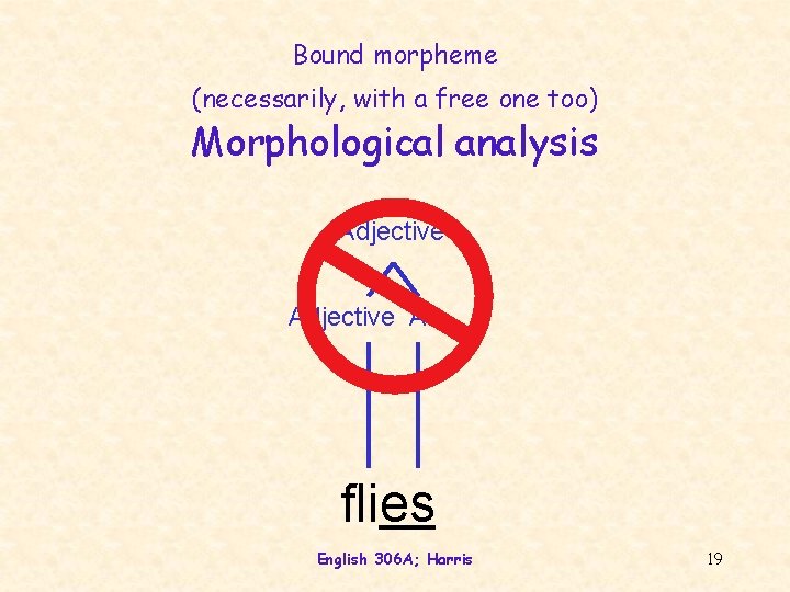 Bound morpheme (necessarily, with a free one too) Morphological analysis Adjective Af flies English