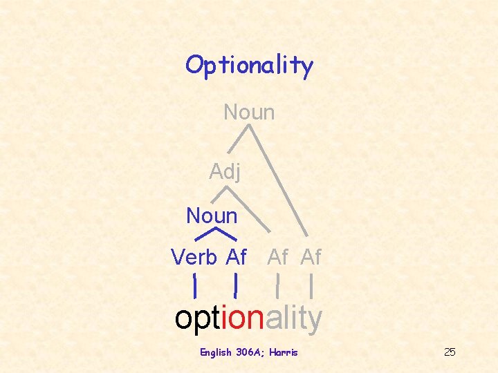 Optionality Noun Adj Noun Verb Af Af Af optionality English 306 A; Harris 25