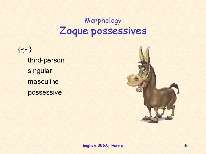 Morphology Zoque possessives {-j- } third-person singular masculine possessive English 306 A; Harris 36