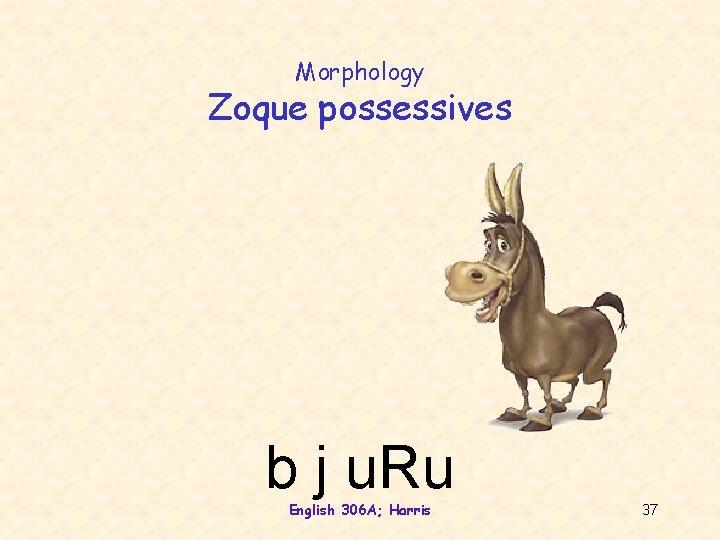 Morphology Zoque possessives b j u. Ru English 306 A; Harris 37 